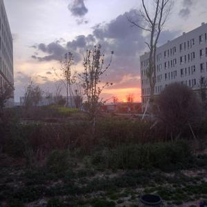 欧美国产综合一区
